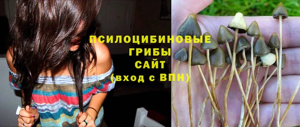 МДПВ Алексеевка